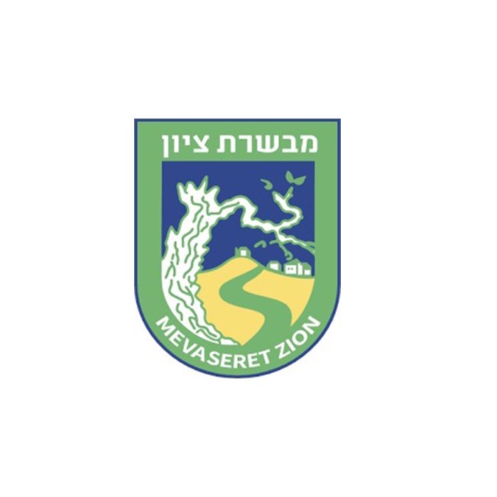 מועצה מקומית