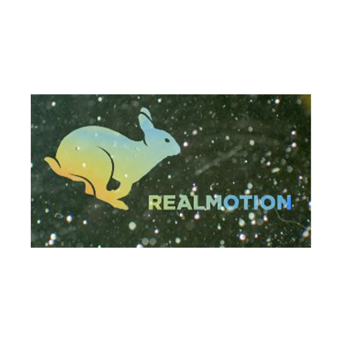 Realmotion