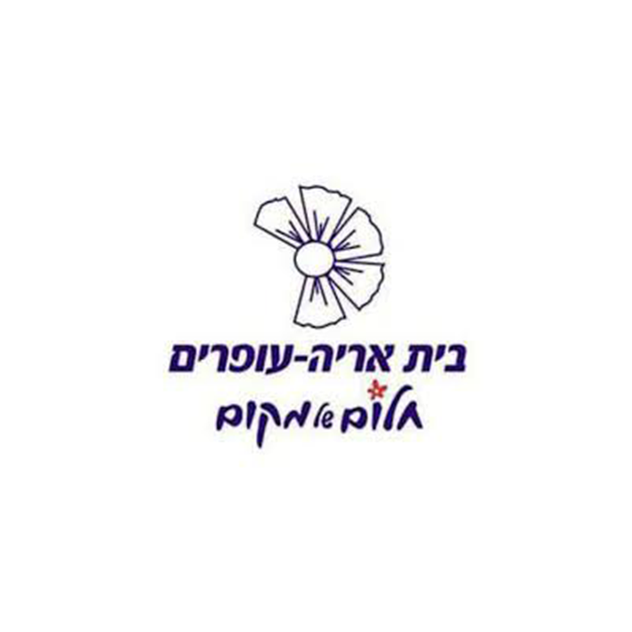 מועצה מקומית
